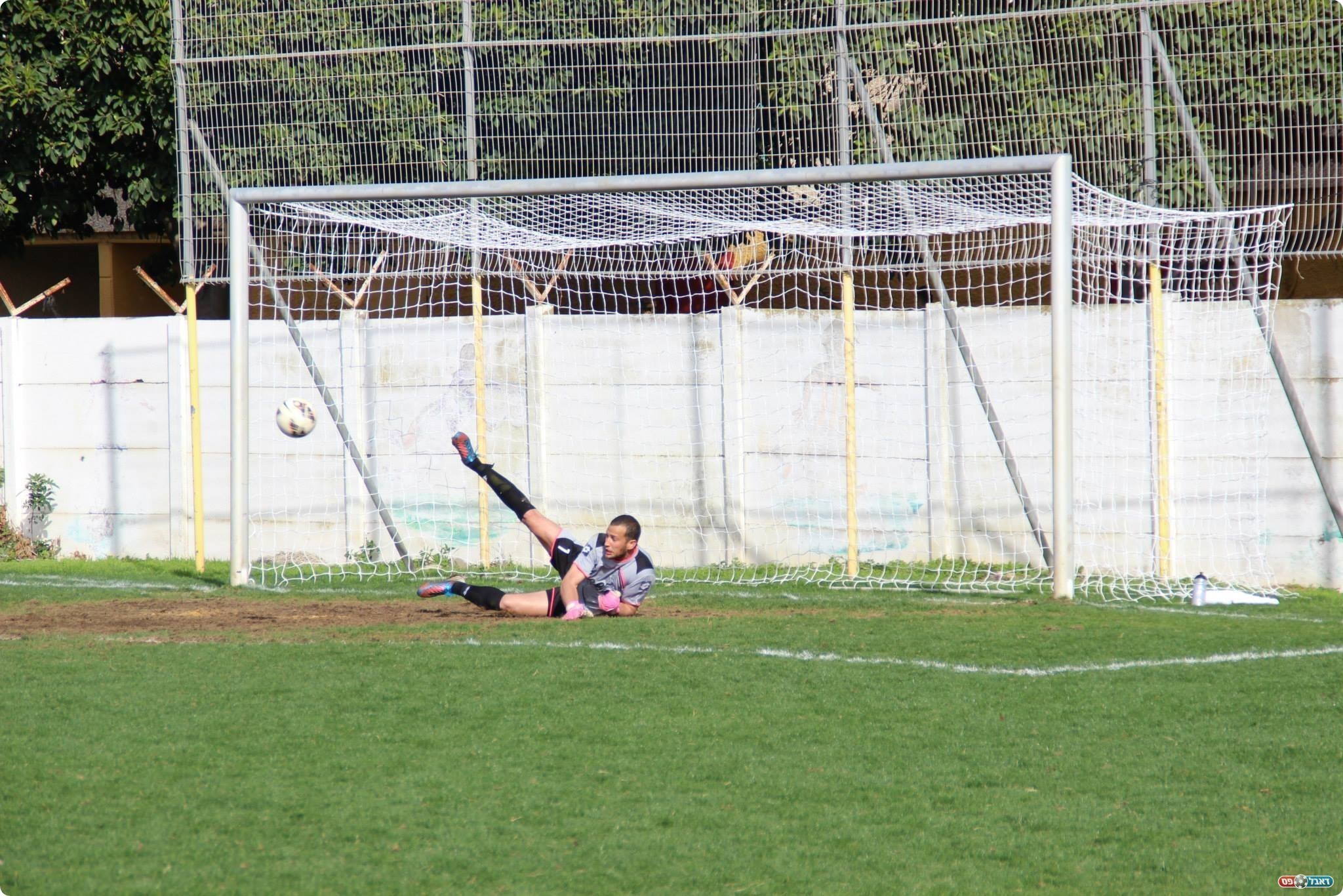 זיסקינד הודף (צילום: עודד חסין)